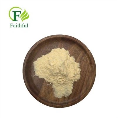 Irinotecan Hydrochloride Powder CAS 100286-90-6